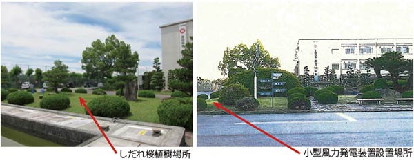 植樹と記念品の設置予定場所